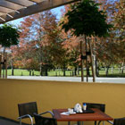 Outdoor Area